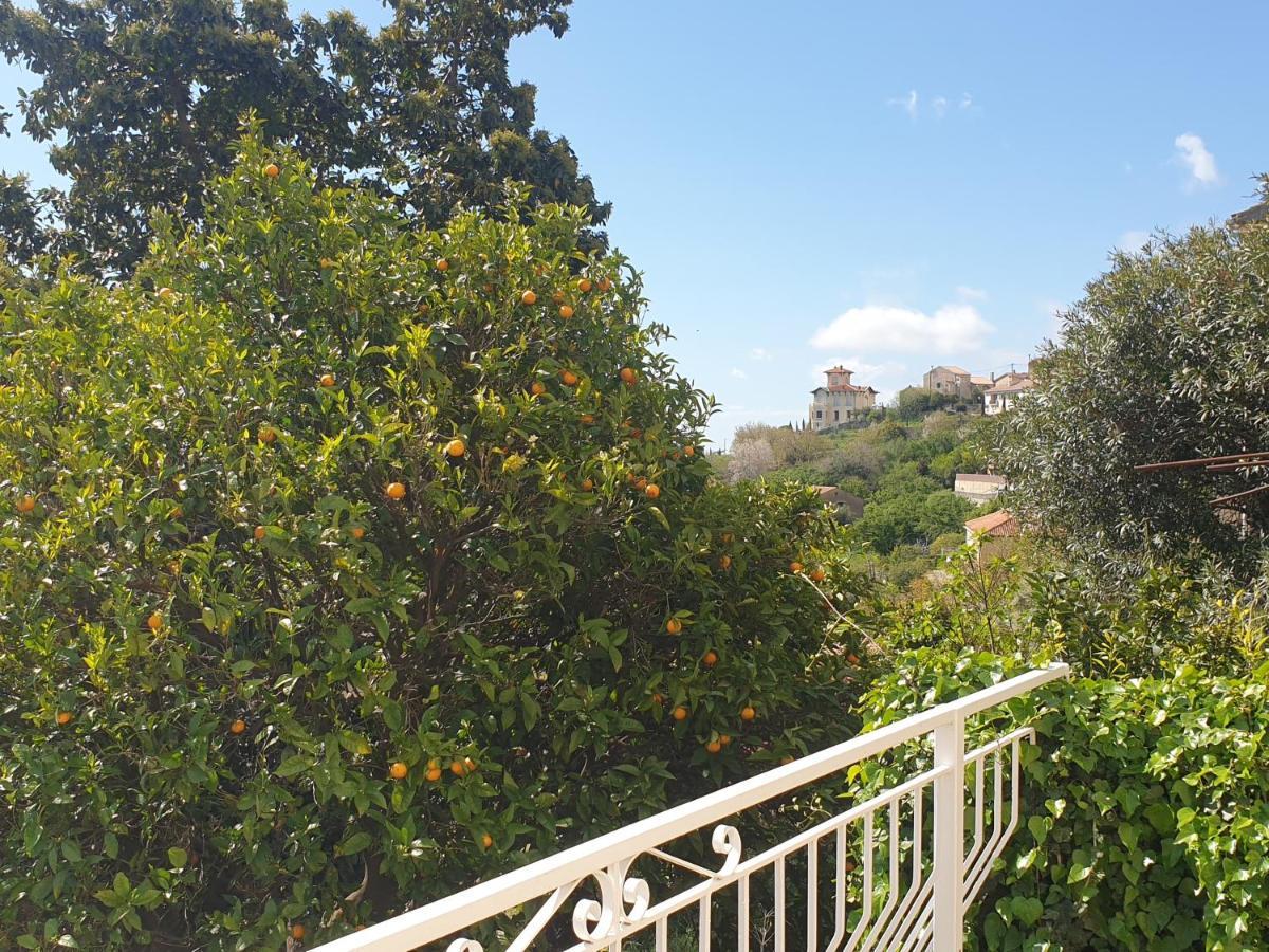 Appartement A Caserella Entierement Renove Avec Terrasse Et Vue Panoramique Sur Mer Valle-di-Campoloro Exterior photo