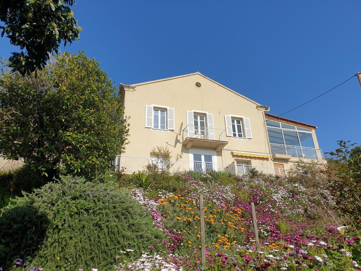 Appartement A Caserella Entierement Renove Avec Terrasse Et Vue Panoramique Sur Mer Valle-di-Campoloro Exterior photo